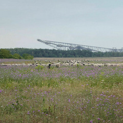 Lausitz - Experiment Natur, Foto: F&Ouml;N e.V., Lizenz: F&Ouml;N e.V.
