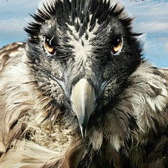 F&Ouml;N e.V., Foto: F&Ouml;N e.V.