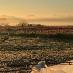 Wo Brandenburg am sch&ouml;nsten ist, Foto: Wolfgang Albus_rbb, Lizenz: Wolfgang Albus_rbb