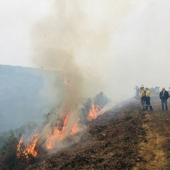 SOS-D&uuml;rre-Alarm, Foto: Oliver Vogt, Lizenz: Oliver Vogt