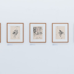 Ausstellungsansicht, Christa Jeitner. Beim Eigentlichen ankommen, BLMK Cottbus, 2024, Foto: Bernd Sch&ouml;nberger, Lizenz: BLMK/Christa Jeitner