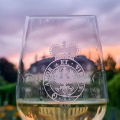 Weinglas Schloss Branitz, Foto: Olga Volova-H&ouml;vler, Lizenz: Olga Volova-H&ouml;wler