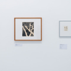 Ausstellungsansicht, Christa Jeitner. Beim Eigentlichen ankommen, BLMK Cottbus, 2024, Foto: Bernd Sch&ouml;nberger, Lizenz: Christa Jeitner