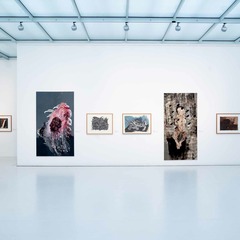 Ausstellungsansicht, Melancholie. &Auml;sthetik der Verg&auml;nglichkeit und Leere - Eine Sammlungsschau, BLMK Cottbus, 2024, Foto: Bernd Sch&ouml;nberger, Lizenz: BLMK