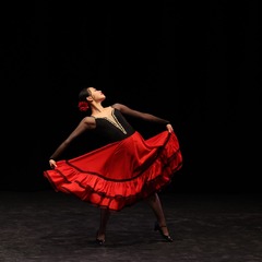 Impression Ballett-Gala, Foto: Ballettschule Werhun, Lizenz: Brandenburgische Kulturstiftung Cottbus-Frankfurt (Oder)