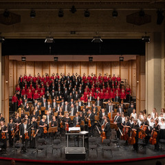 Das Philharmonische Orchester im Großen Haus, Foto: Marlies Kross, Lizenz: Brandenburgische Kulturstiftung Cottbus-Frankfurt (Oder)