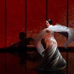 Szene aus MADAMA BUTTERFLY, Foto: Bernd Schönberger, Lizenz: Brandenburgische Kulturstiftung Cottbus-Frankfurt (Oder)