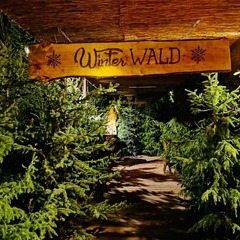 Cottbuser Winterwald, Foto: Frank Kuban, Lizenz: Frank Kuban