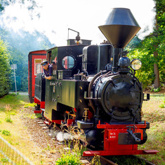 Cottbuser Parkeisenbahn, Foto: CMT Cottbus, Lizenz: CMT Cottbus