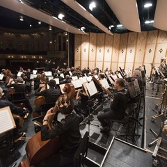 Das Philharmonische Orchester im Großen Haus, Foto: Marlies Kross, Lizenz: Brandenburgische Kulturstiftung Cottbus-Frankfurt (Oder)
