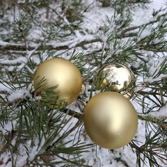 item_1097717_pic_1_orig