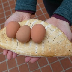 Foto: Wendisches Museum, Lizenz: Wendisches Museum