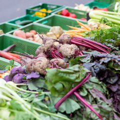 item_1098248_pic_1_orig