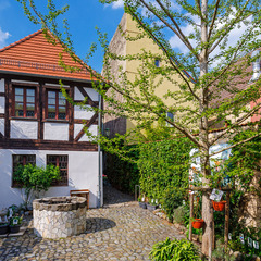 Foto: Andreas Franke, Lizenz: CMT Cottbus