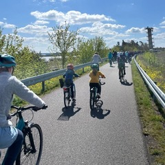 item_1099980_pic_1_orig