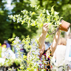 item_651619_pic_1_orig