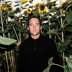 2. Cottbuser Kultursommer: Bosse